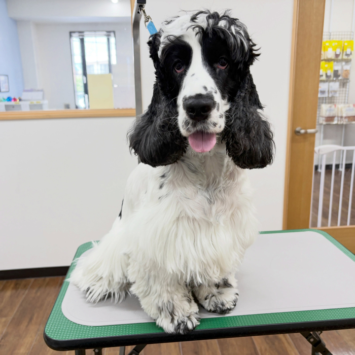 画像6979