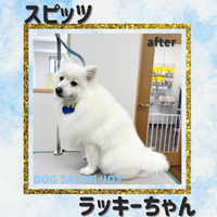 画像7006