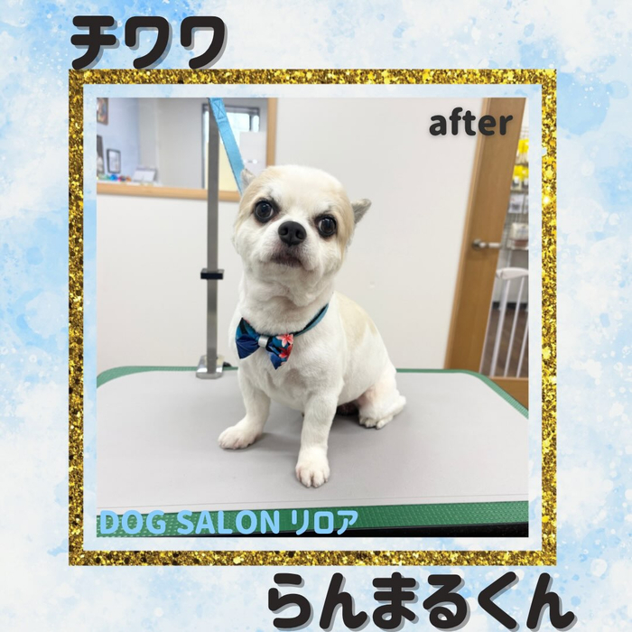 画像7030