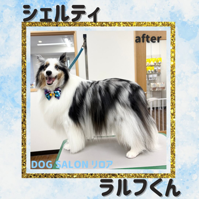 画像7051