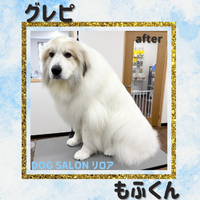 画像7069