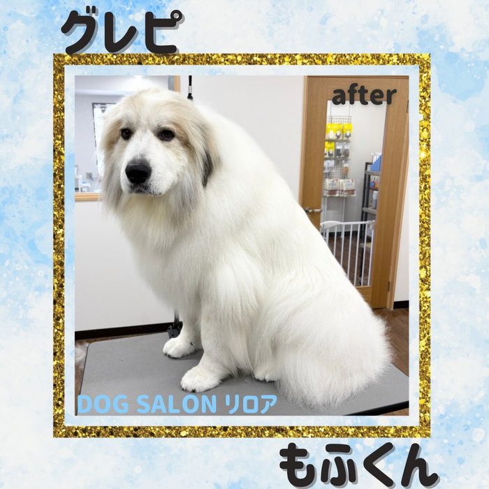 画像7069