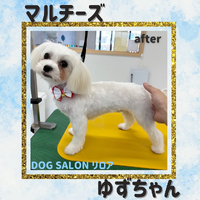 画像711