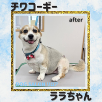 画像7113