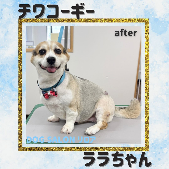 画像7113