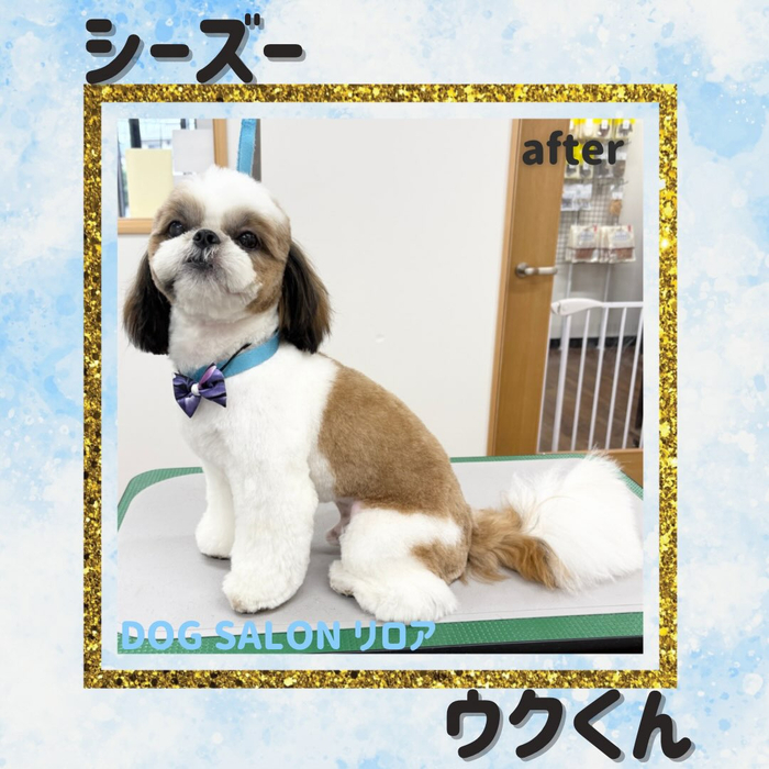 画像7149