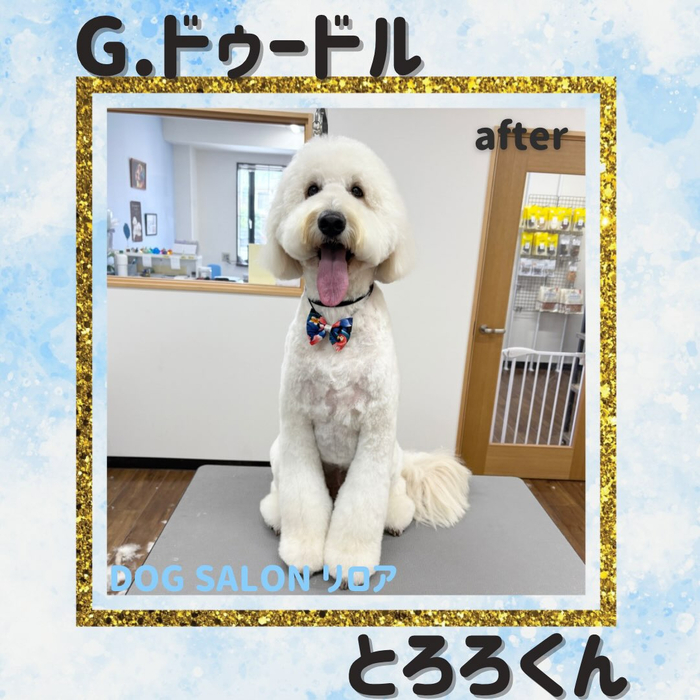 画像7163