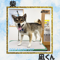 画像7187