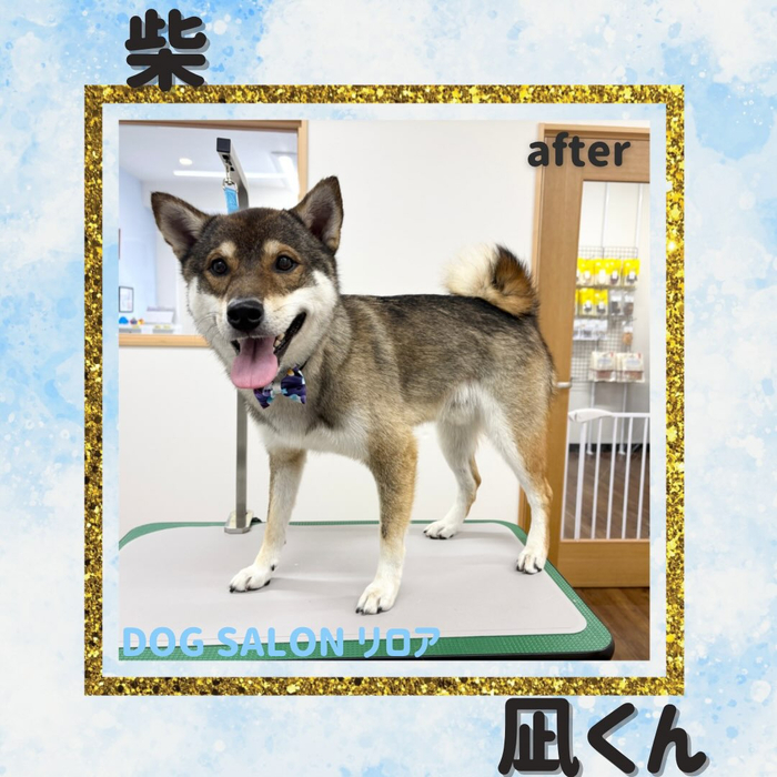 画像7187