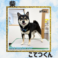 画像7193