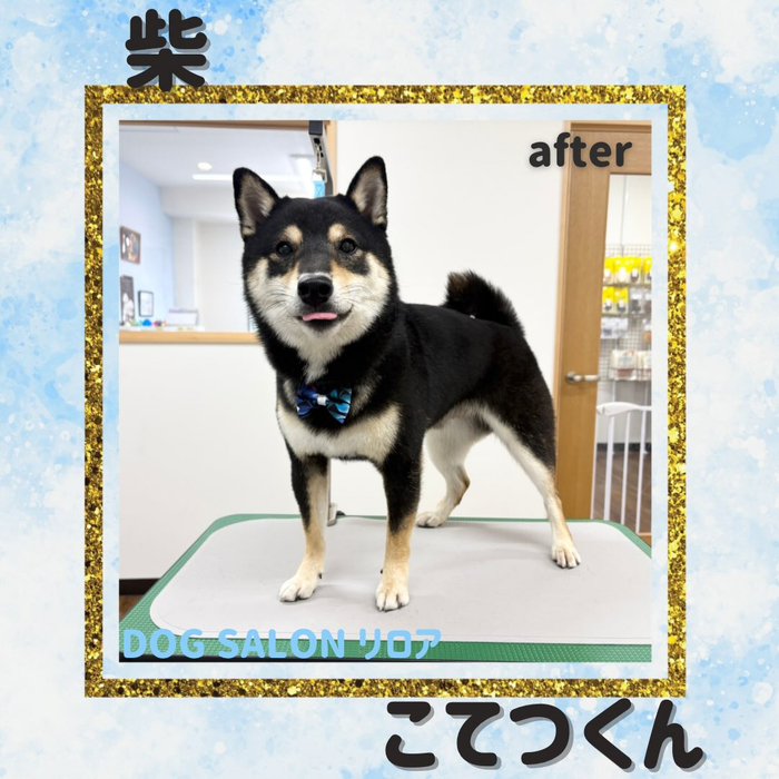 画像7193