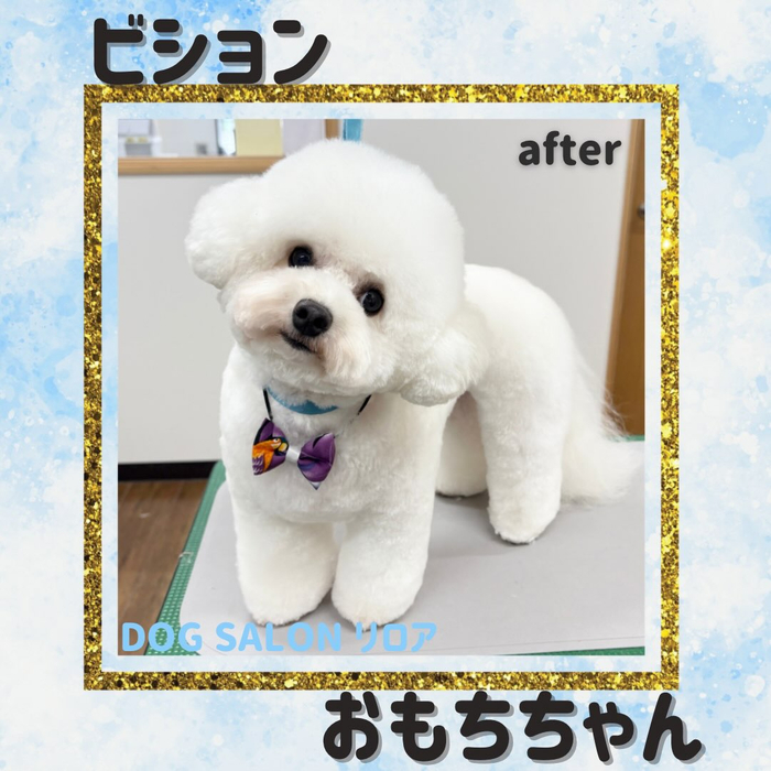 画像7199