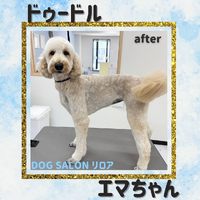 画像723