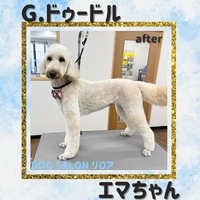 画像7247