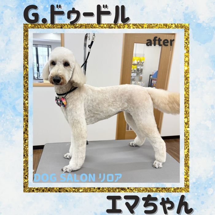 画像7247