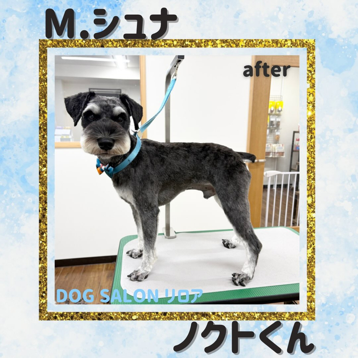 画像7259