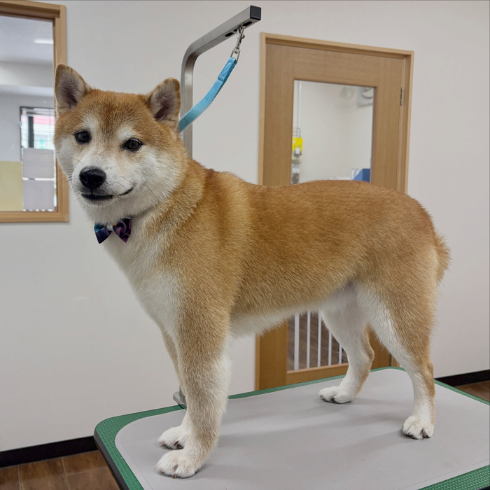画像7272