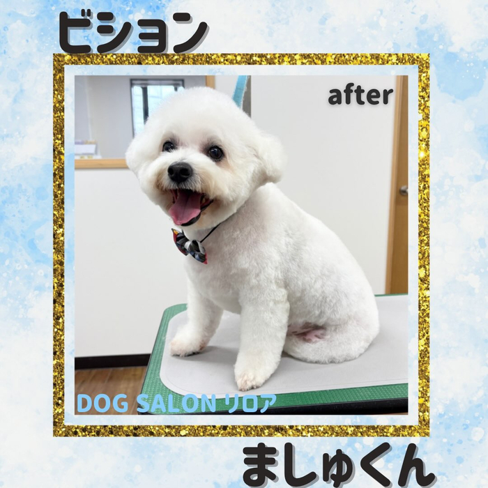 画像7295
