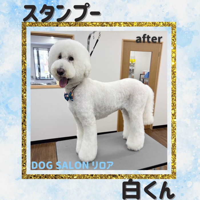 画像7313