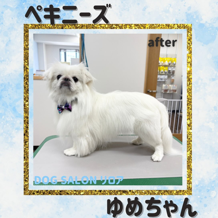 画像7319