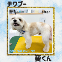 画像734
