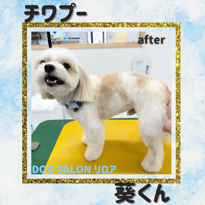 画像734