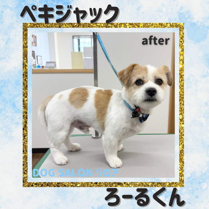 画像7361
