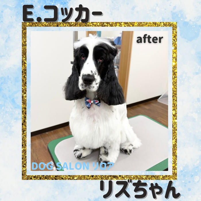 画像7373