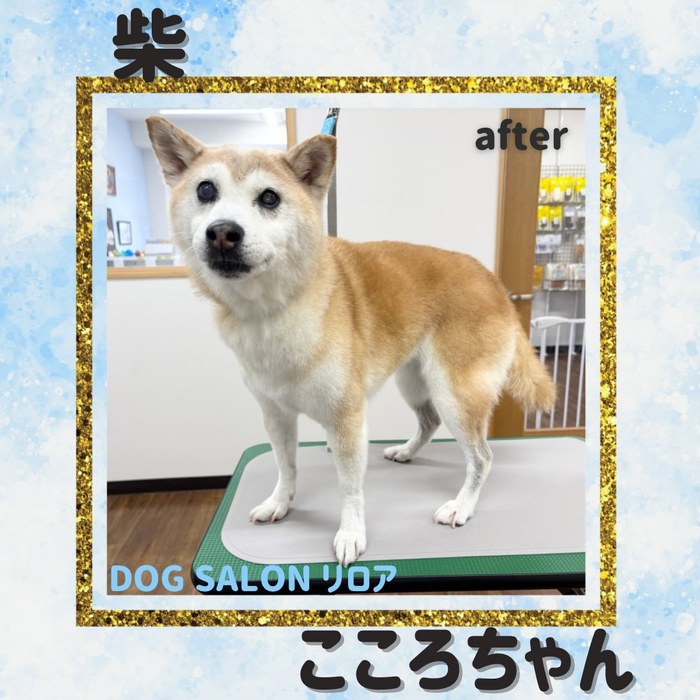 画像7379