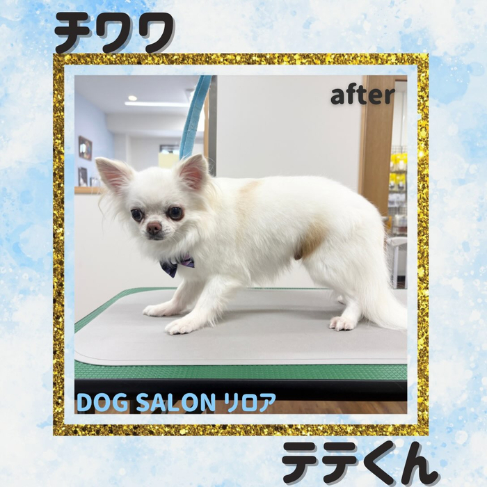 画像7385
