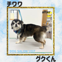 画像7391