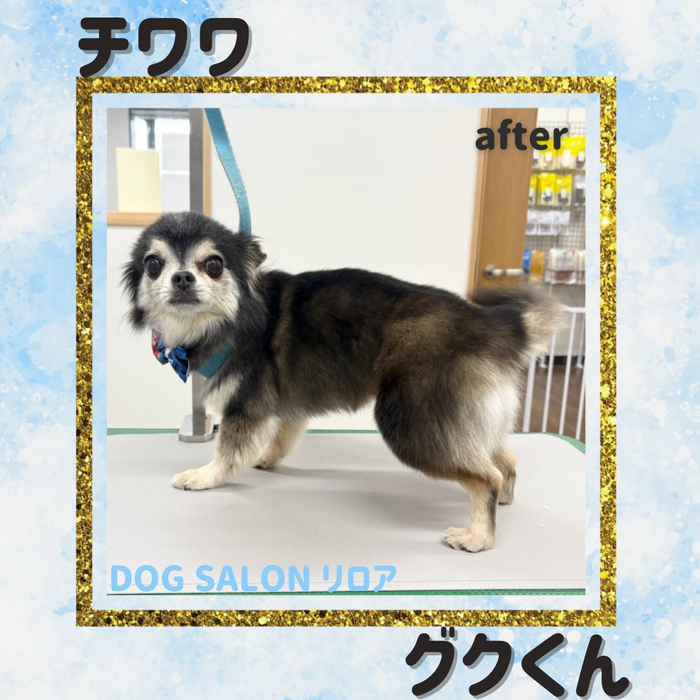 画像7391