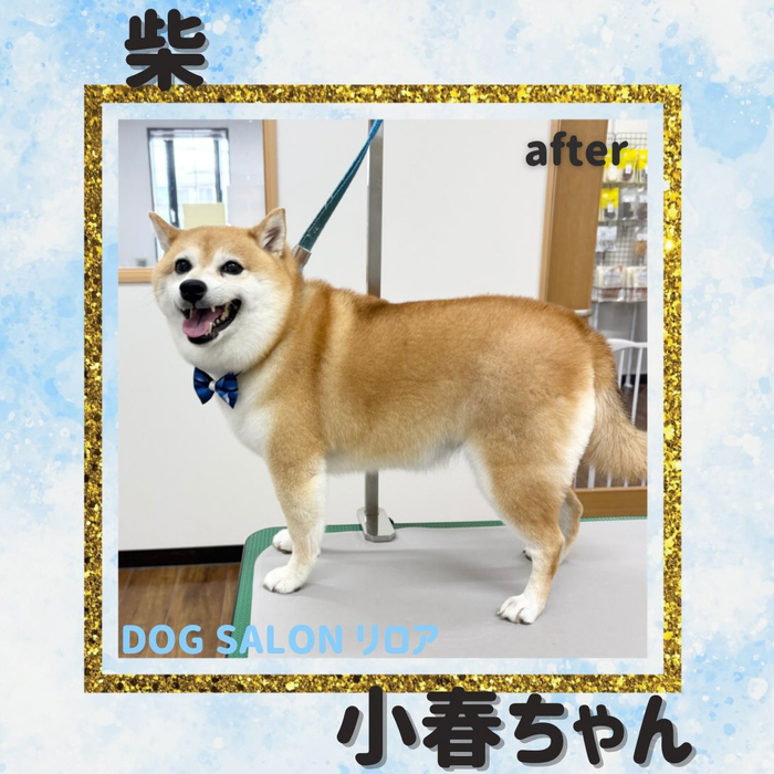 画像7397