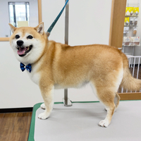 画像7398