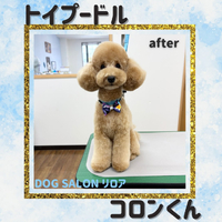 画像7409