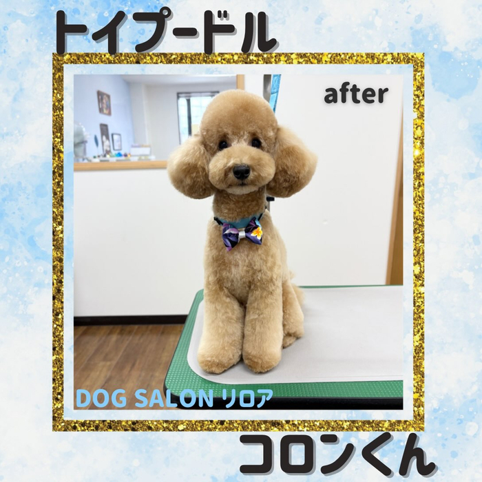 画像7409