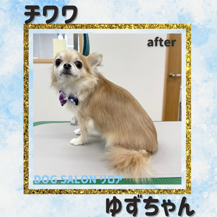 画像7421