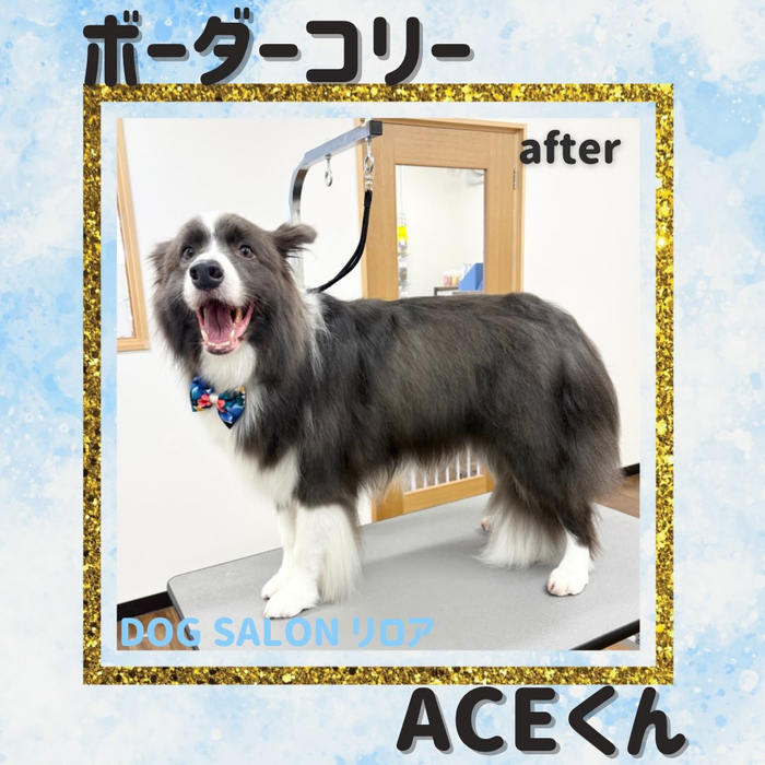 画像7445