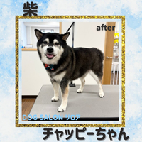 画像7457
