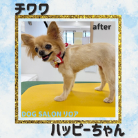 画像746