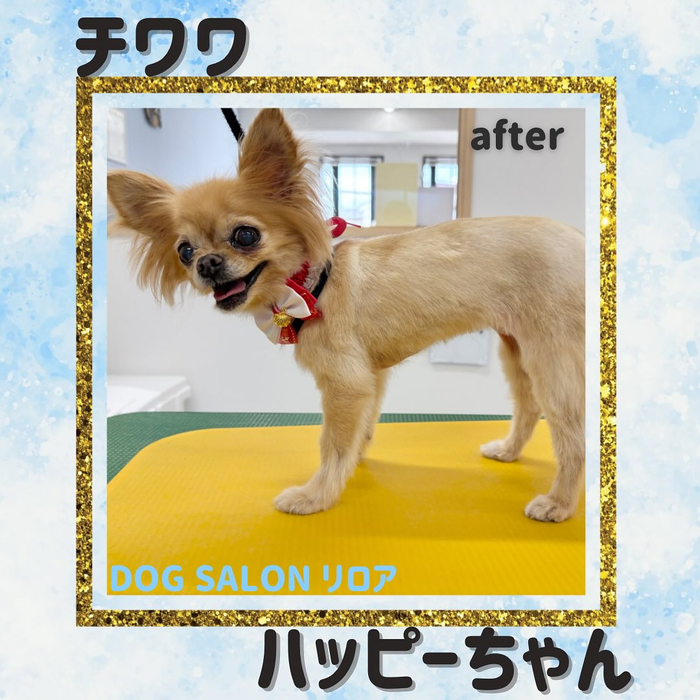 画像746