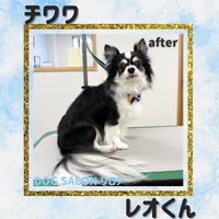 画像7475