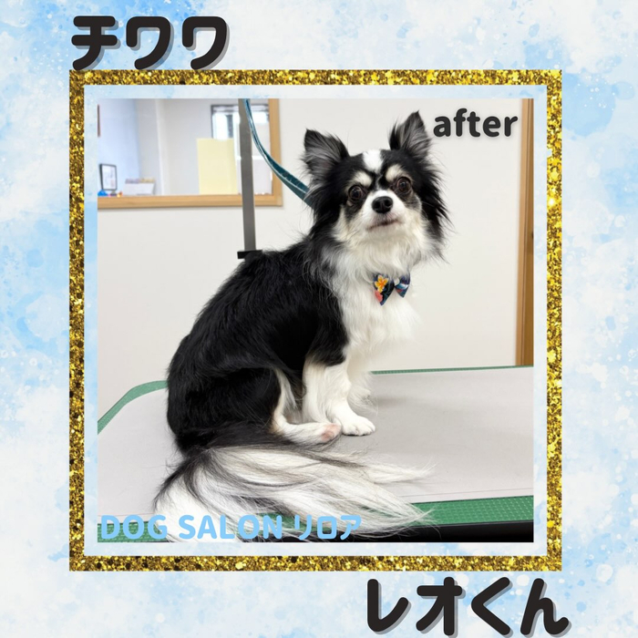 画像7475