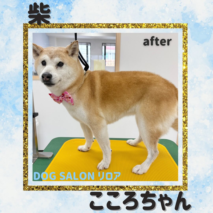 画像764