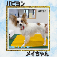 画像770