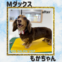 画像855