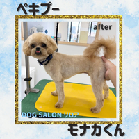 画像880