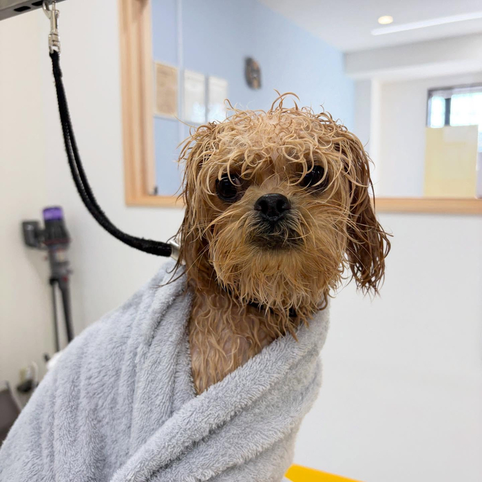 画像883