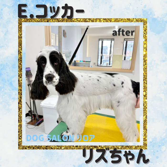 画像889