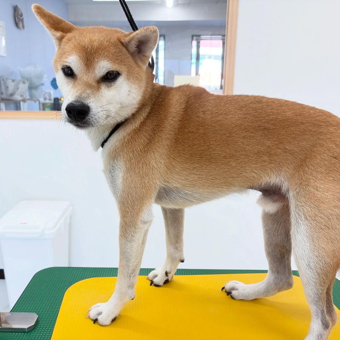 画像930